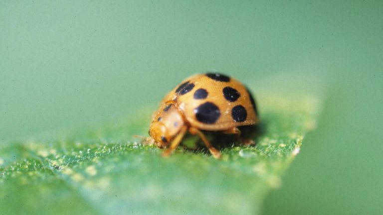 Gardening can lead to mishaps as scary as any Halloween