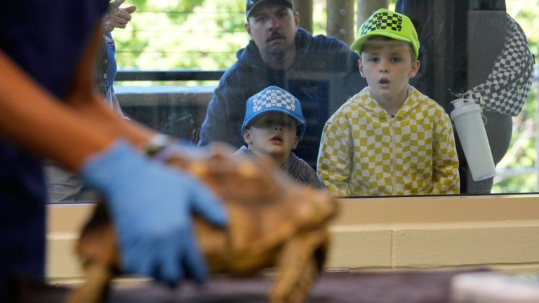 New Jersey zoo visitors get to admire animals and vet checkups