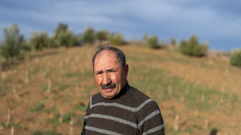 Morocco hopes to boost legal cannabis farming